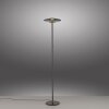 Oświetlenie Paul Neuhaus Vitrum Lampa stojąca LED Szary, 2-punktowe