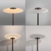 Oświetlenie Paul Neuhaus Vitrum Lampa stojąca LED Brązowy, 2-punktowe