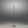 Oświetlenie Paul Neuhaus Vitrum Lampa stojąca LED Brązowy, 2-punktowe