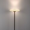 Oświetlenie Paul Neuhaus Vitrum Lampa stojąca LED Brązowy, 2-punktowe