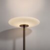 Oświetlenie Paul Neuhaus Vitrum Lampa stojąca LED Brązowy, 2-punktowe