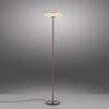 Oświetlenie Paul Neuhaus Vitrum Lampa stojąca LED Brązowy, 2-punktowe