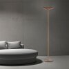 Oświetlenie Paul Neuhaus Moon Lampa stojąca LED Brązowy, 2-punktowe