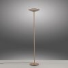 Oświetlenie Paul Neuhaus Moon Lampa stojąca LED Brązowy, 2-punktowe