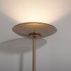 Oświetlenie Paul Neuhaus Moon Lampa stojąca LED Brązowy, 2-punktowe