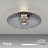 Oświetlenie Paul Neuhaus Vitrum Lampa sufitowa LED Szary, 2-punktowe