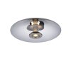 Oświetlenie Paul Neuhaus Vitrum Lampa sufitowa LED Szary, 2-punktowe