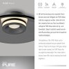 Oświetlenie Paul Neuhaus Moon Lampa sufitowa LED Szary, 2-punktowe
