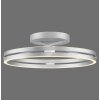 Oświetlenie Paul Neuhaus Loop Lampa sufitowa LED Srebrny, 2-punktowe, Zdalne sterowanie
