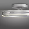 Oświetlenie Paul Neuhaus Loop Lampa sufitowa LED Srebrny, 2-punktowe, Zdalne sterowanie