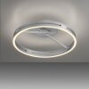 Oświetlenie Paul Neuhaus Loop Lampa sufitowa LED Srebrny, 2-punktowe, Zdalne sterowanie