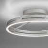 Oświetlenie Paul Neuhaus Loop Lampa sufitowa LED Srebrny, 2-punktowe, Zdalne sterowanie