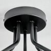 Koyoto lampa sufitowa, kula świetlna 52 cm bursztynowy, przezroczysty, 5-punktowe