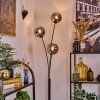 Ripoll Kula świetlna, Lampa stojąca Przydymiony, 3-punktowe