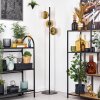Koyoto Lampa stojąca 31 cm Złoty, Przezroczysty, 3-punktowe