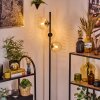 Koyoto lampa stojąca 31 cm bursztynowy, przezroczysty, 3-punktowe