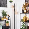 Koyoto Lampa stojąca 31 cm W kolorze bursztynu, Przezroczysty, 3-punktowe