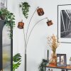 Cando Lampa stojąca Nikiel matowy, Czarny, 3-punktowe
