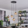 Ripoll Lampa wisząca, Kula świetlna, Lampa wiszącego klastra W kolorze bursztynu, 3-punktowe