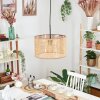 Barcos lampa wisząca, lampa wisząca brązowy, naturalny, 1-punktowy