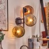 Ripoll Kula świetlna, Lampa ścienna Chrom, Złoty, Przezroczysty, W kolorze miedzi, Przydymiony, 3-punktowe