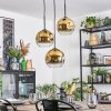 Ripoll Lampa wisząca, Kula świetlna, Lampa wiszącego klastra Złoty, Przezroczysty, 3-punktowe