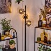 Ripoll Lampa stojąca Przydymiony, 3-punktowe