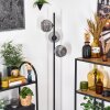 Ripoll Lampa stojąca Przydymiony, 3-punktowe