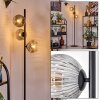 Ripoll Lampa stojąca Przezroczysty, Przydymiony, 3-punktowe