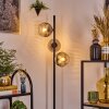 Ripoll Lampa stojąca Przezroczysty, Przydymiony, 3-punktowe