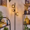 Ripoll Lampa stojąca Przezroczysty, Przydymiony, 3-punktowe