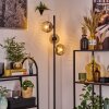 Ripoll Lampa stojąca Przezroczysty, Przydymiony, 3-punktowe