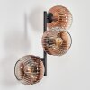 Ripoll Kula świetlna, Lampa ścienna Przezroczysty, W kolorze miedzi, 3-punktowe