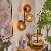 Ripoll Kula świetlna, Lampa ścienna Przezroczysty, W kolorze miedzi, 3-punktowe