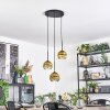 Ripoll lampa wisząca, kula świetlna, lampa wisząca kaskadowa złoty, przezroczysty, 3-punktowe