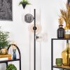 Ripoll Lampa stojąca W kolorze bursztynu, Przezroczysty, Przydymiony, 3-punktowe
