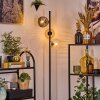 Ripoll Lampa stojąca W kolorze bursztynu, Przezroczysty, Przydymiony, 3-punktowe