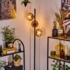 Ripoll Lampa stojąca Przezroczysty, W kolorze miedzi, 3-punktowe