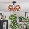 Ripoll Lampa sufitowa, Kula świetlna Przezroczysty, W kolorze miedzi, 5-punktowe