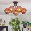 Ripoll lampa sufitowa, kula świetlna miedziany, 5-punktowe