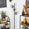 Ripoll Lampa stojąca Chrom, Przezroczysty, Przydymiony, 3-punktowe