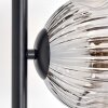Ripoll Lampa stojąca Chrom, Przezroczysty, Przydymiony, 3-punktowe
