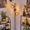 Ripoll Lampa stojąca Chrom, Przezroczysty, Przydymiony, 3-punktowe