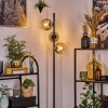 Ripoll Lampa stojąca Chrom, Przezroczysty, Przydymiony, 3-punktowe