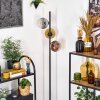 Ripoll lampa stojąca złoty, przezroczysty, miedziany, przydymiony, 3-punktowe