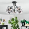 Ripoll Lampa sufitowa, Kula świetlna Przezroczysty, Przydymiony, 5-punktowe