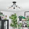 Ripoll Lampa sufitowa, Kula świetlna Przezroczysty, 5-punktowe