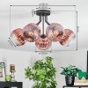 Ripoll lampa sufitowa, kula świetlna przezroczysty, miedziany, 5-punktowe