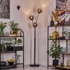 Ripoll Kula świetlna, Lampa stojąca Chrom, Przydymiony, 3-punktowe