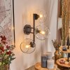 Koyoto Kula świetlna, Lampa ścienna Przezroczysty, 3-punktowe